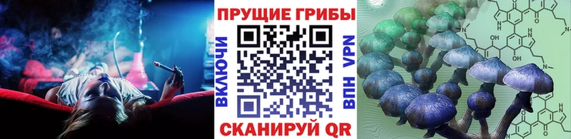 Псилоцибиновые грибы Psilocybe  Купить закладки  Ленск 